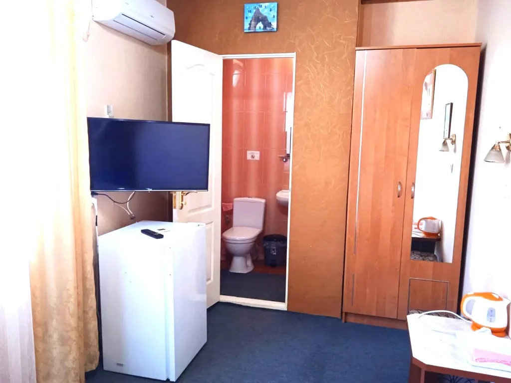 Двухместный номер с 1 кроватью Н5 стандарт 2 этаж — Green Palace, фото 2 из 3