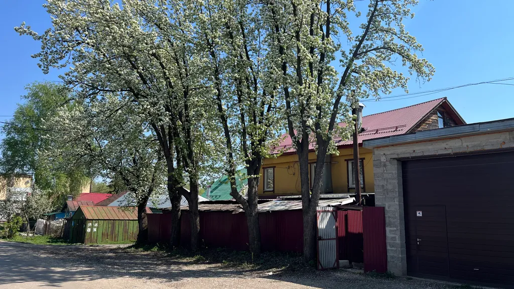 Квартира трёхкомнатная у Чкаловской, в Канавино, 100 м², Нижний Новгород — двор, фото 5
