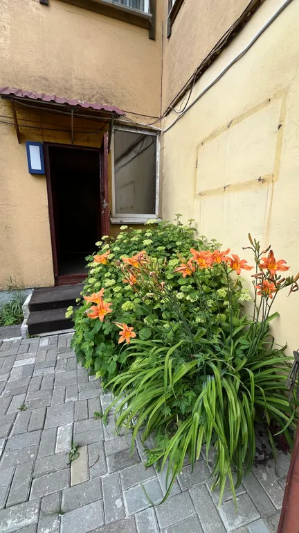 Квартира трёхкомнатная у Чкаловской, в Канавино, 100 м², Нижний Новгород — двор, фото 7