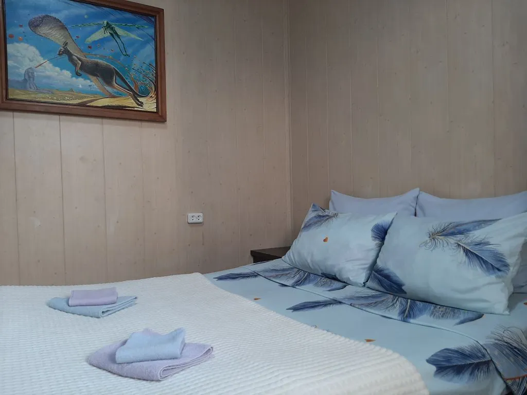 Двухместный номер с 1 кроватью стандарт с видом на город