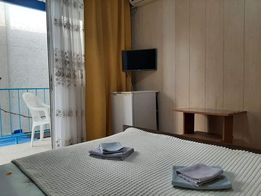 Двухместный номер с 1 кроватью стандарт с видом на город