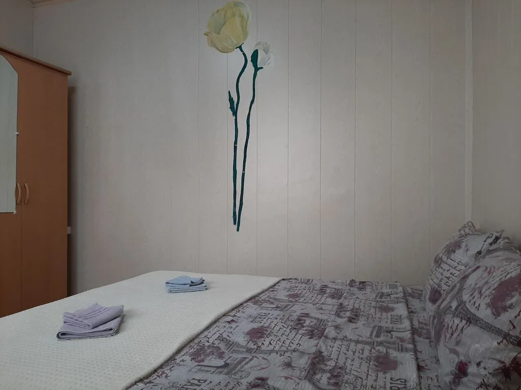 Двухместный номер с 1 кроватью стандарт с видом на город