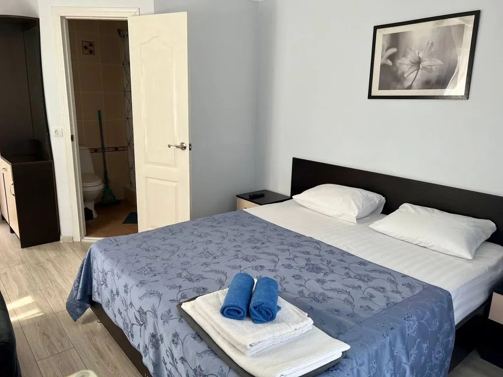 Двухместный номер с 1 кроватью стандарт