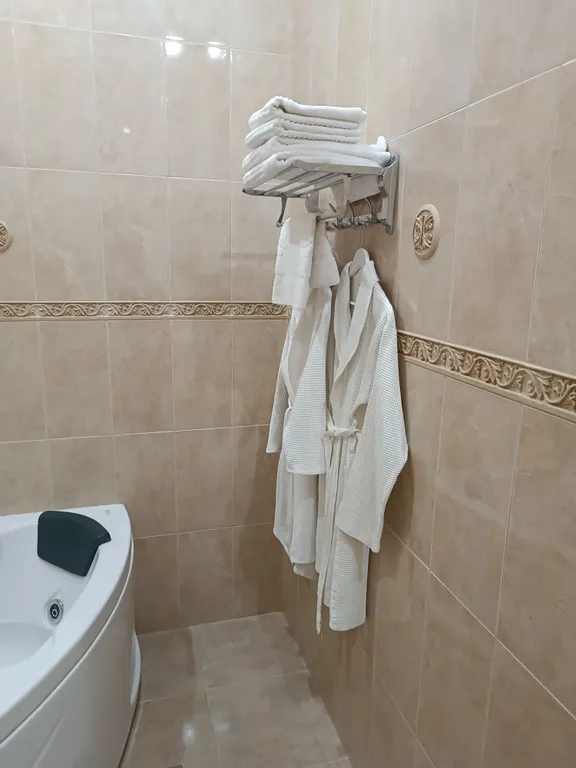 Фото отеля «Делюкс», 12