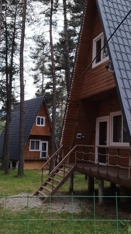 Алатырь А-фрейм в сосновом бору