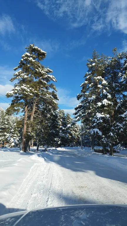 Алатырь А-фрейм в сосновом бору