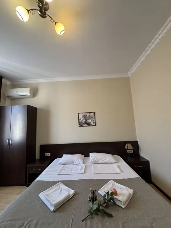 Двухместный номер с 1 кроватью комфорт без балкона