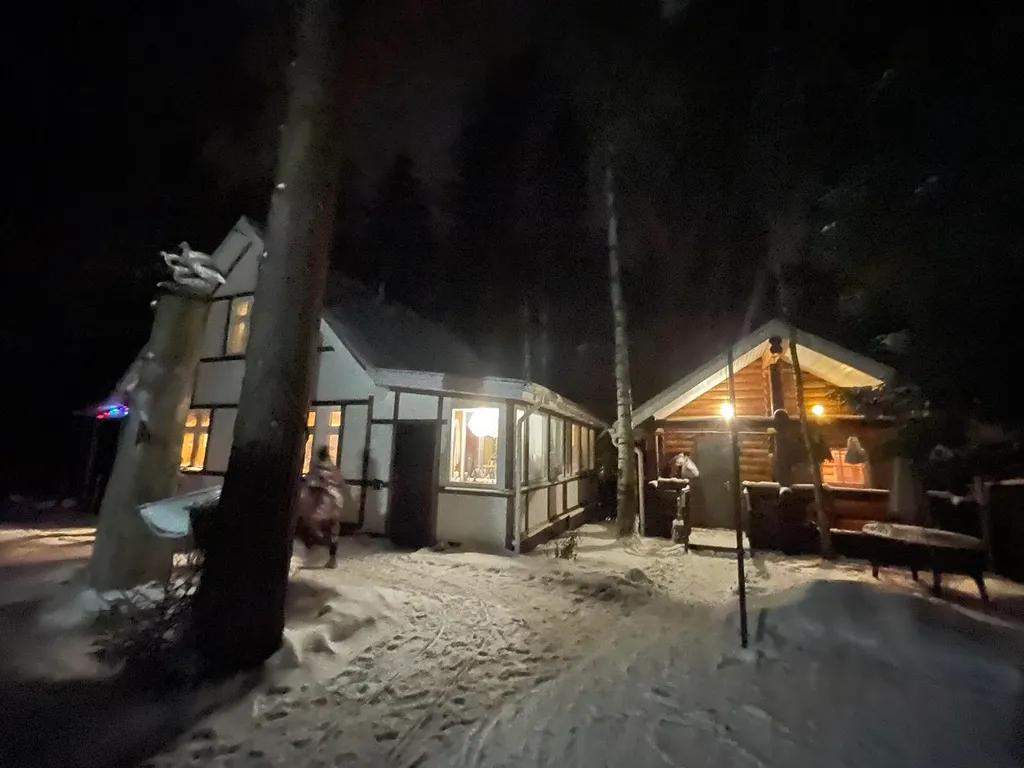 Домик в сосновом лесу