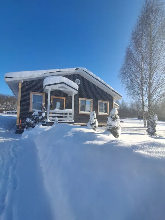 Уютный дом у леса