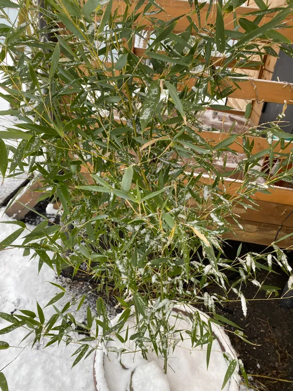 Отдых для души