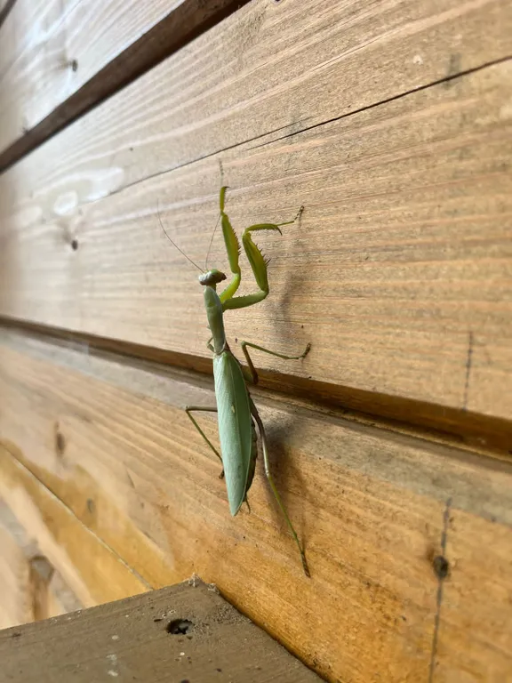 Отдых для души