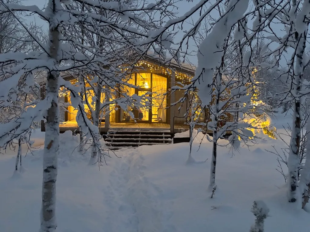 ДубльДом с панорамными окнами