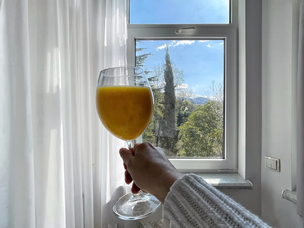 Двухместный номер с 1 кроватью стандарт с видом на парк — Arboria SPA Hotel by Morskoy Resort, фото 4 из 5