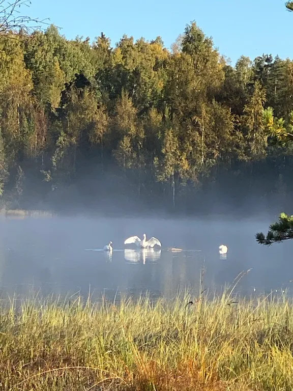 Деревянный дом с баней на 1й линии Красного озера