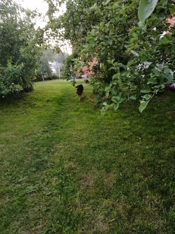 Коттедж У Днепра