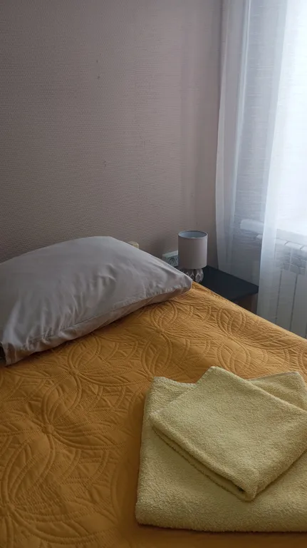 Двухместный номер с 2 отдельными кроватями — ванная комната