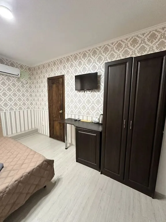 Двухместный номер с 1 кроватью Стандарт с доп местом — Мелис, фото 3 из 5