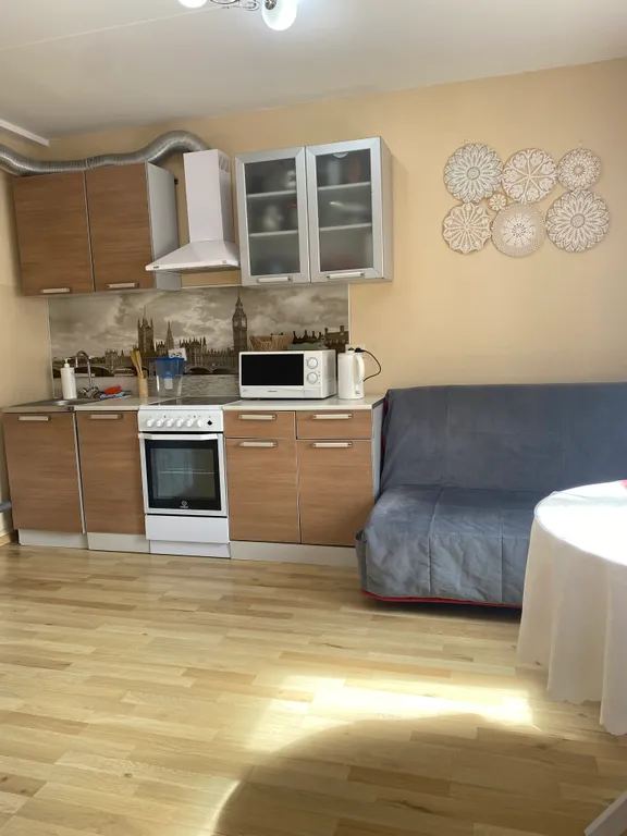 Квартира однокомнатная на улице Чистой, 34 м², Петрозаводск — фото 7