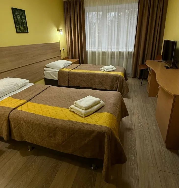 Двухместный номер с 2 отдельными кроватями стандарт — Кама, фото 1 из 3
