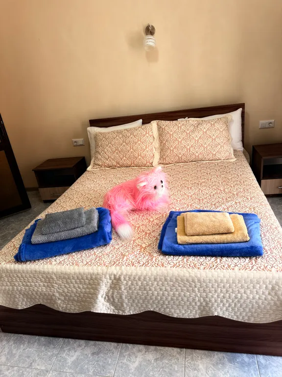 Двухместный номер с 1 кроватью стандарт — Svetlana, фото 1 из 4