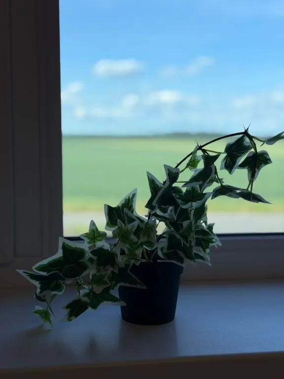 Фото отеля «На Ладном», 11