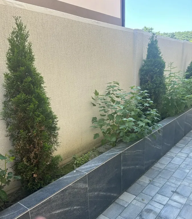 Фото отеля «Андрит», 7