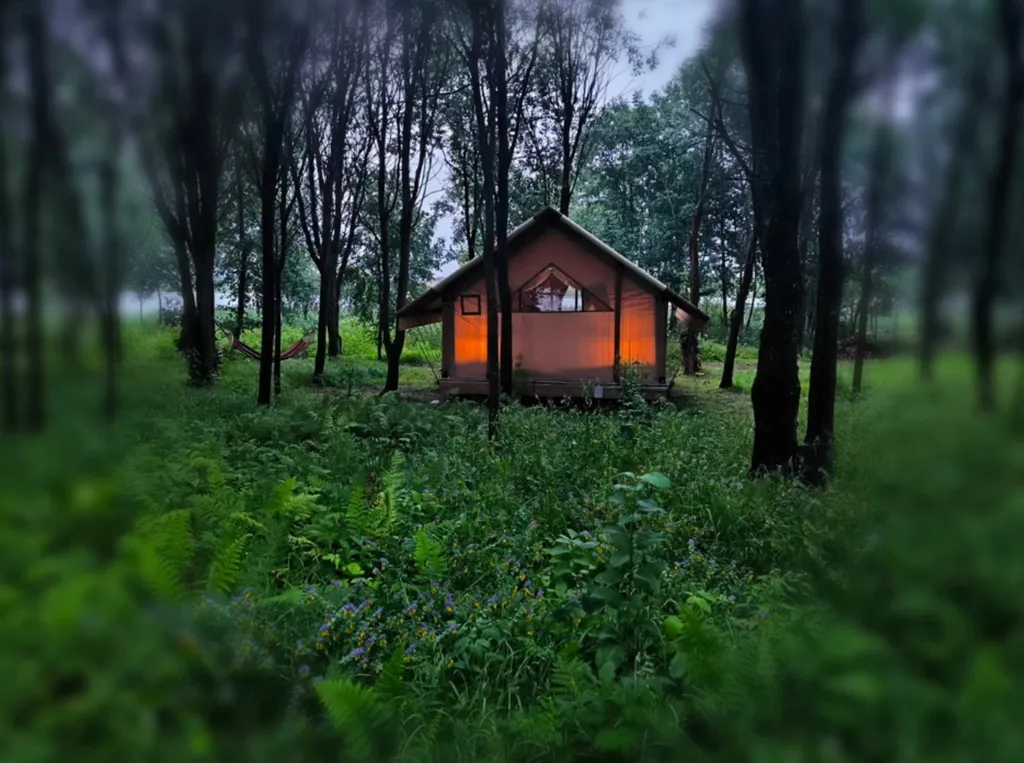 Дом Сафари-тент Юг-2 — Sысhёvka Глэмпинг Парк, фото 1 из 5