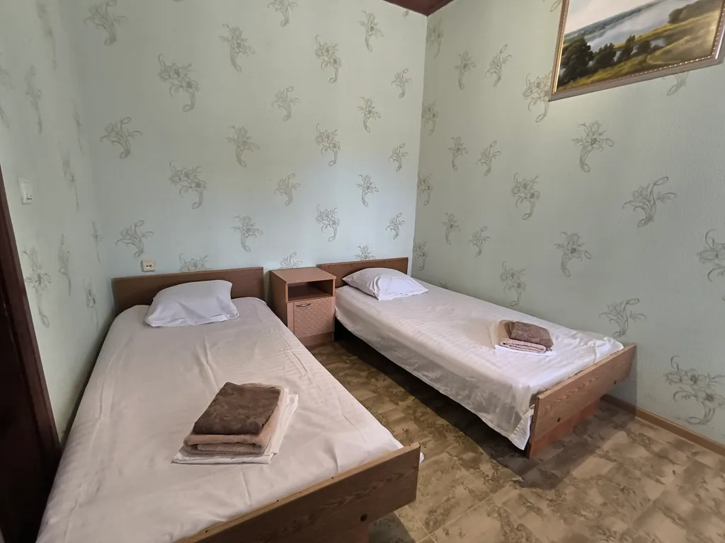 Двухместный номер с 2 отдельными кроватями Бюджетный 1+1 — Диана, фото 5 из 5