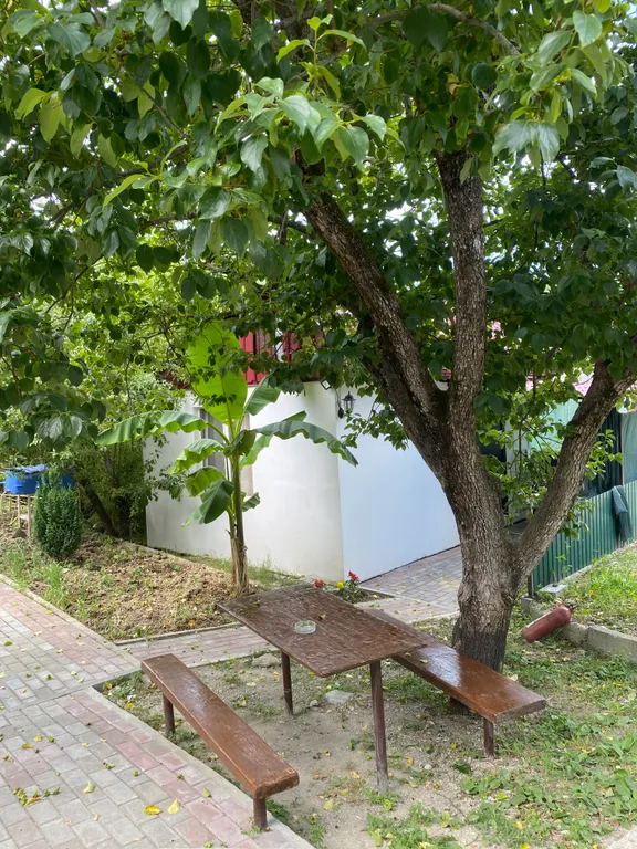Фото отеля «Нури», 7