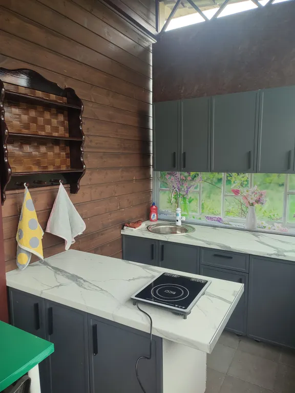 Дом 4-местный, 45 м², Ростов Великий — кухня, фото 3