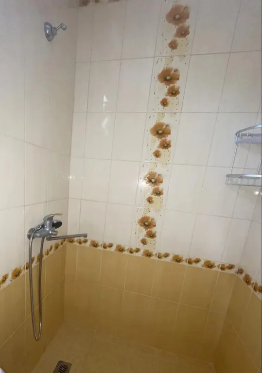 Фото отеля «Грант», 12