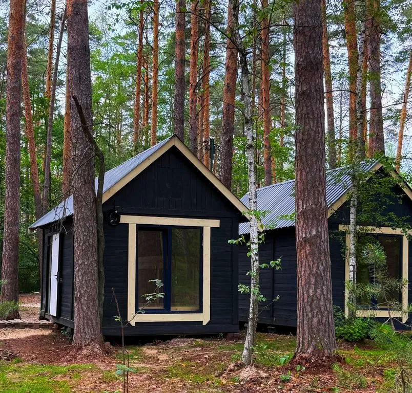 Дом Стандарт — Сосновый берег, фото 1 из 5