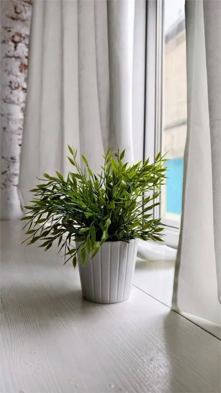 Двухместный номер с 1 кроватью или 2 раздельными стандарт — вид из окна