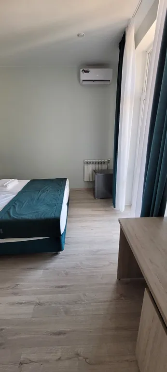 Двухместный номер с 1 кроватью стандарт с видом на город — детали