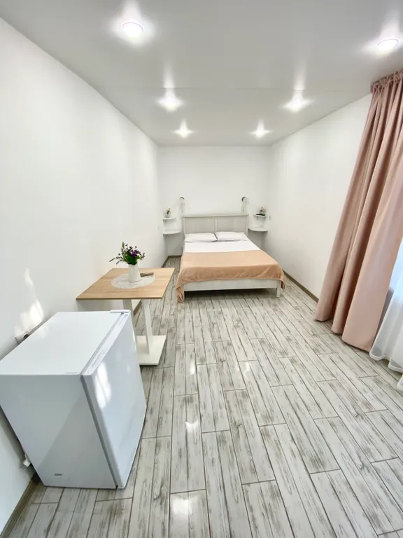 Двухместный номер с 1 кроватью стандарт — На Красных Партизан, фото 2 из 5