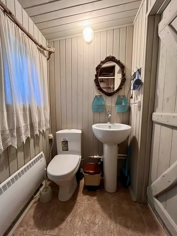 Дом 4-местный, 30 м², Псков — ванная комната, фото 2