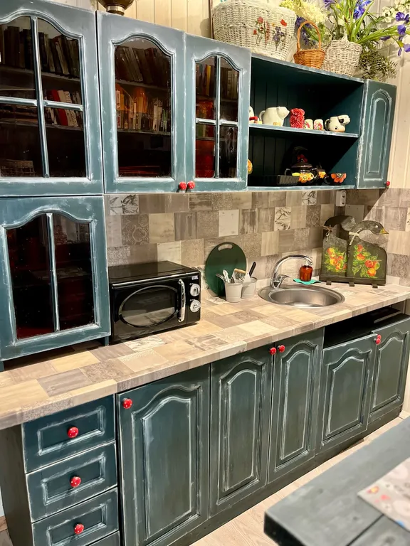 Дом 4-местный, 30 м², Псков — кухня