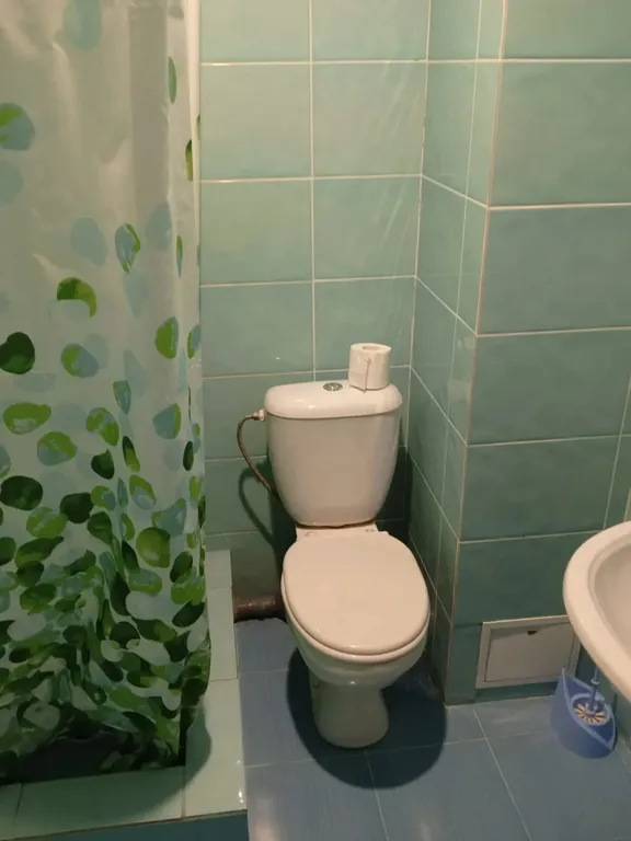 Фото отеля «Русский стиль», 11