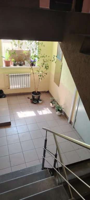 Многоместный смешанный номер стандарт — вид из окна