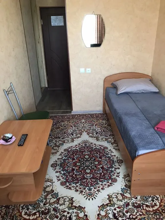 Одноместный номер стандарт — Березка — фото 2