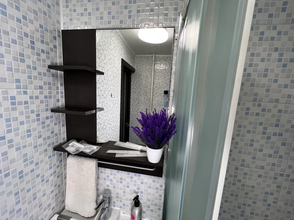 Квартира однокомнатная у Горьковской, в Кузнечихе, 43 м², Нижний Новгород — ванная комната, фото 3