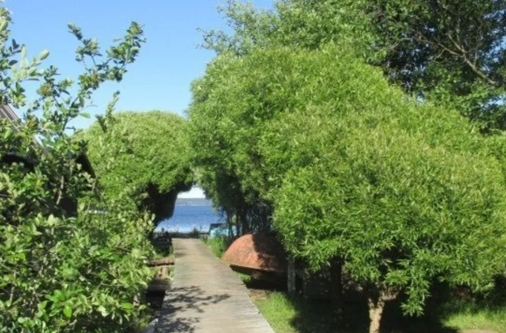 Уютный гостевой домик на берегу озера