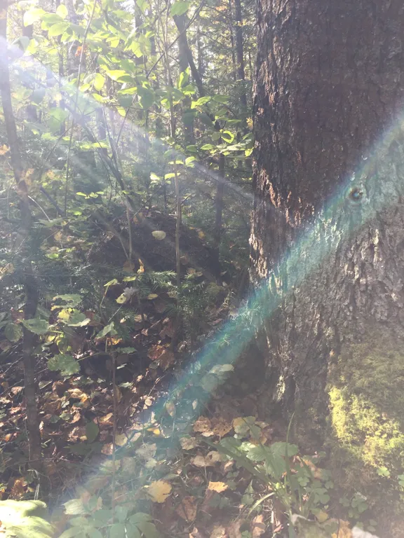 Загородная усадьба