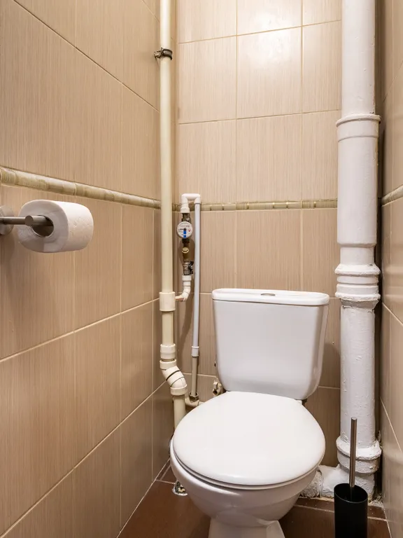 Квартира двухкомнатная у Маяковской, в Тверском, 54 м², Москва — ванная комната, фото 3