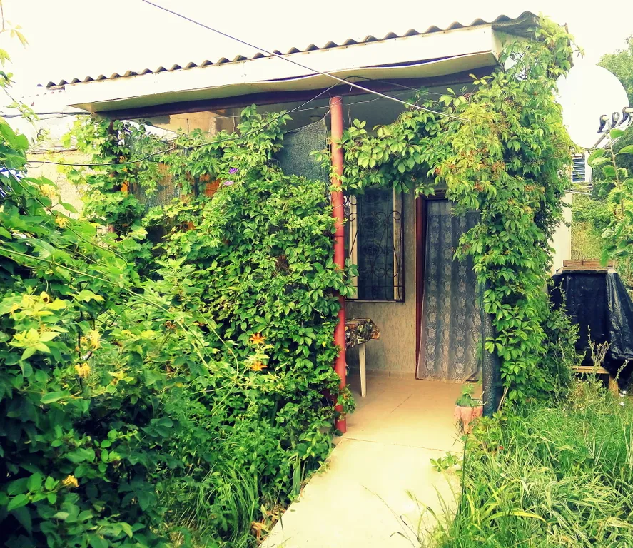 Частный дом