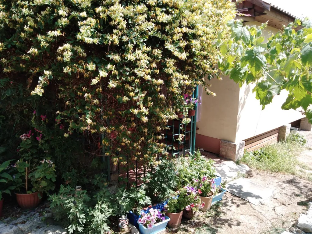 Дом 4-местный на улице Садовой, 25 м², Орджоникидзе — фото 4