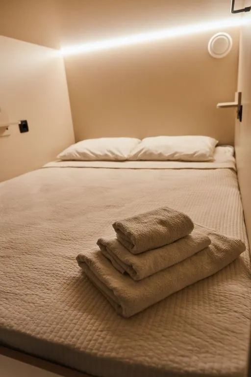 Двухместный номер с 1 кроватью двухместная капсула