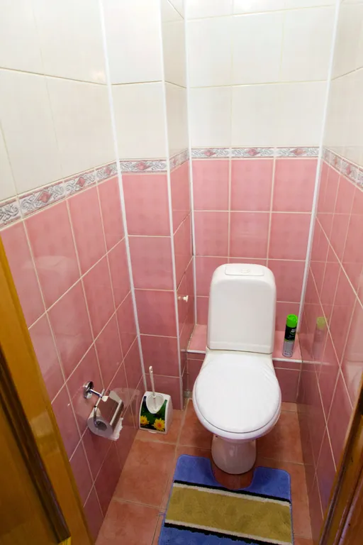 Квартира двухкомнатная в Центральном, 60 м², Красноярск — ванная комната, фото 2