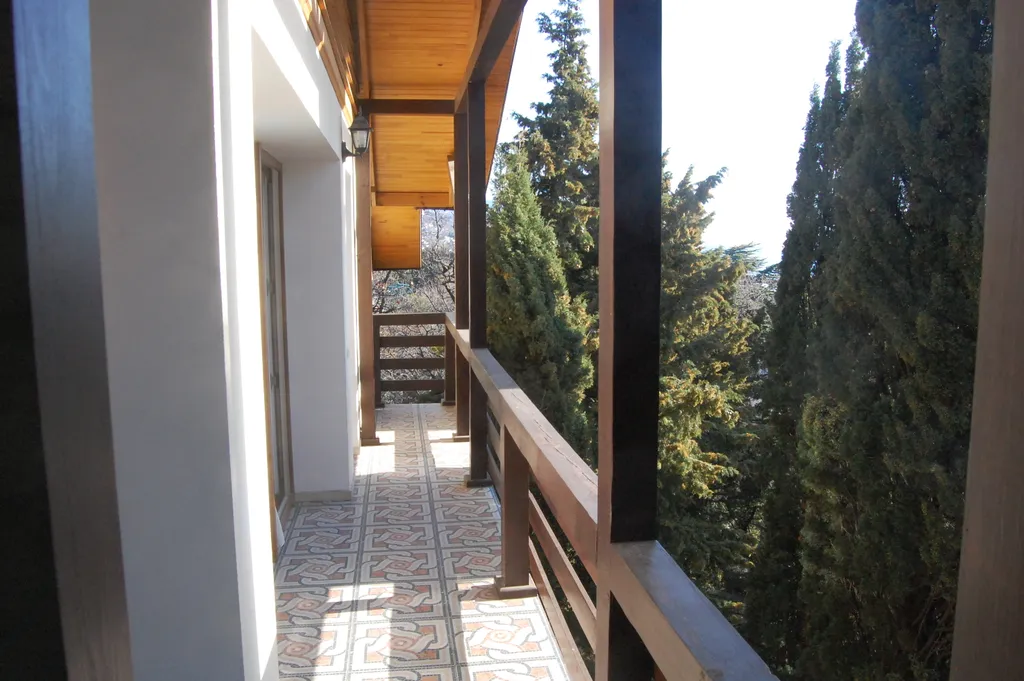 Кипарис Шале 3