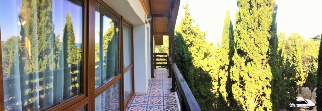 Кипарис Шале 3